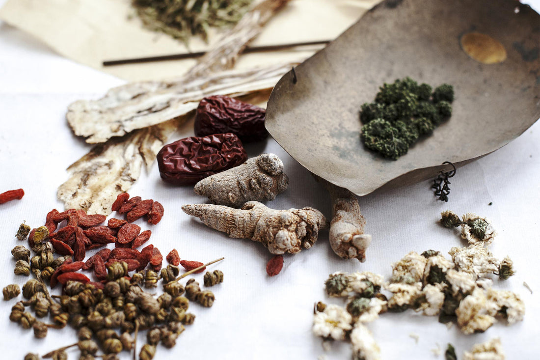 What Are Adaptogen Herbs?