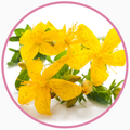St. John’s Wort